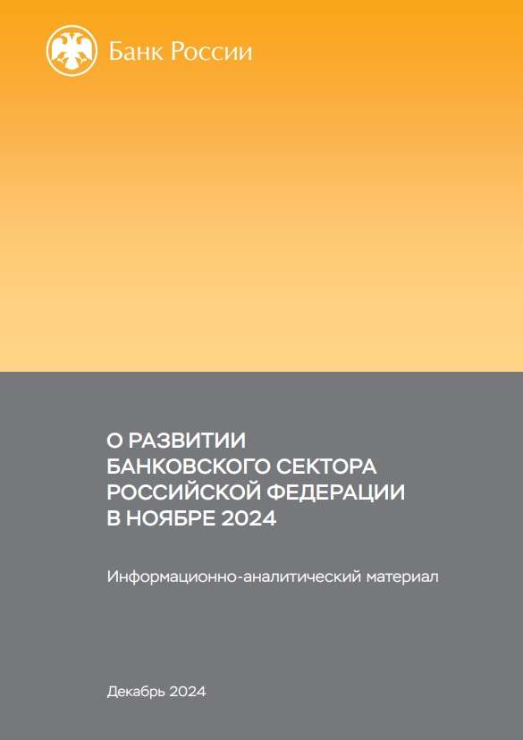 О развитии банковского сектора Российской Федерации в ноябре 2024 года